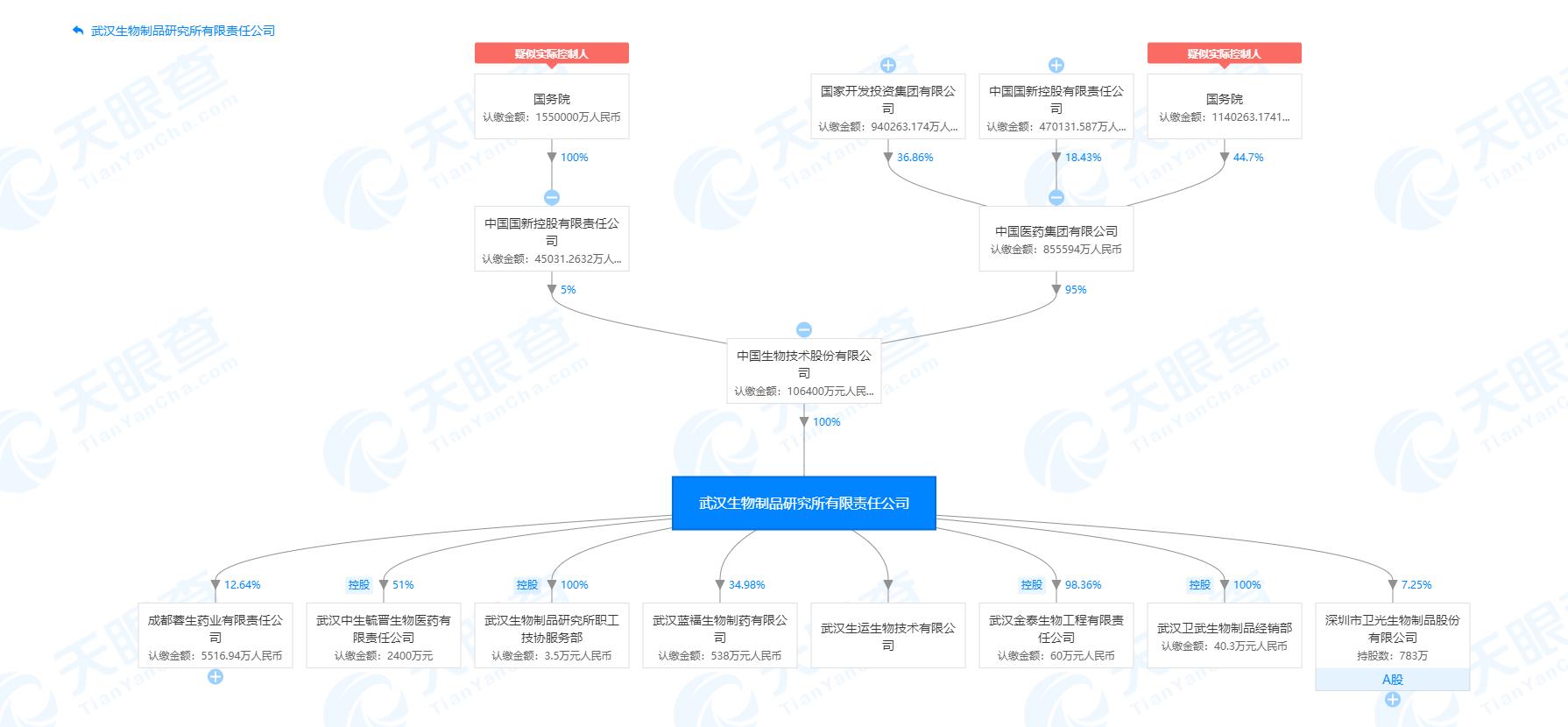 网易最新股权变动，时代的见证与未来展望