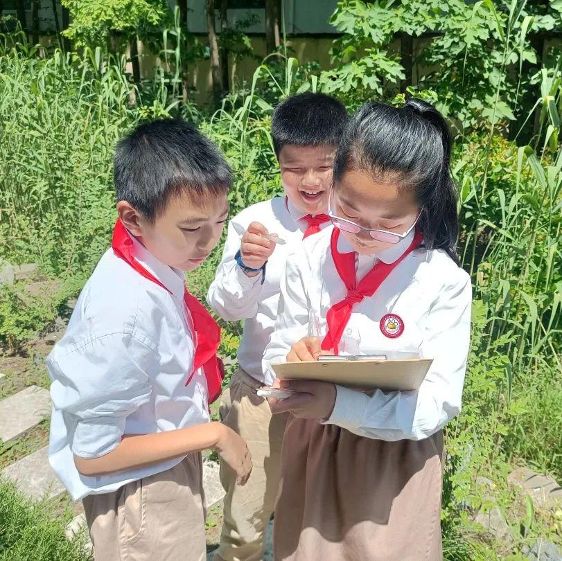 最新学科动态概览与学指南