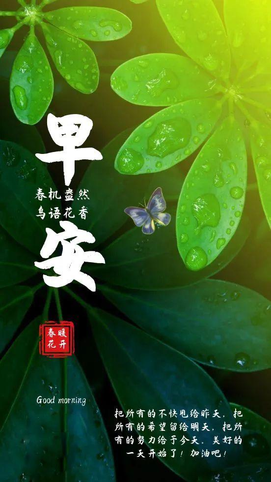 健康图片大全最新，自然美景的旅行探索之旅
