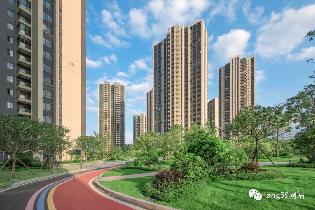 惠州最新动态，多维度视角下的城市发展探析