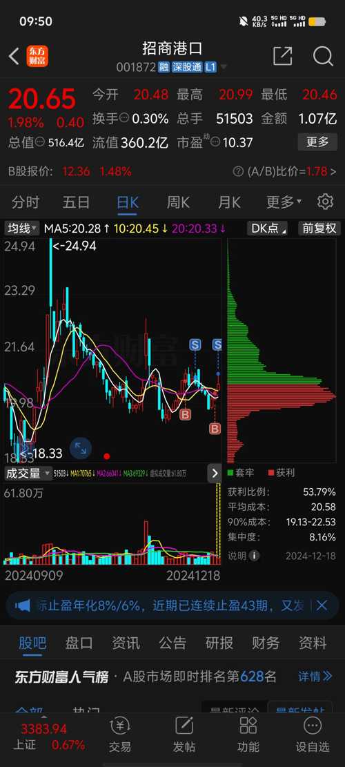 招商港口股票，价值与前景深度探讨