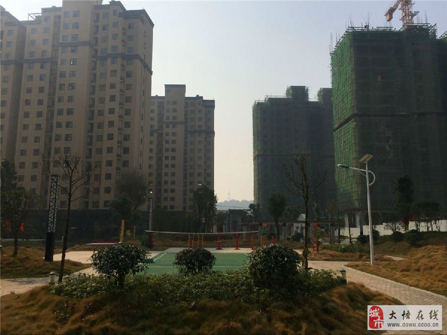 大悟最新动态详解，任务完成与技能学习指南的详细步骤攻略