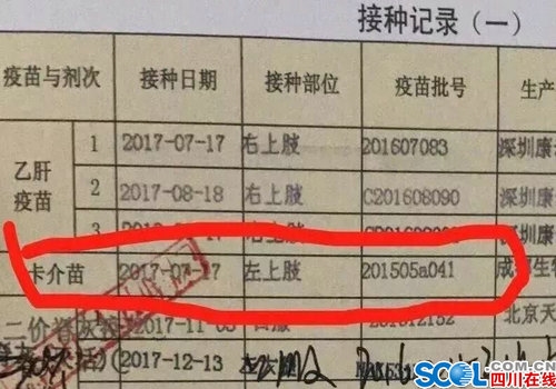 四川疫苗事件最新进展及其影响，一种观点深度解析