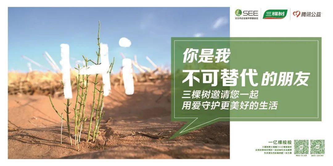 绿色产业新星崛起，有棵树上市引领未来发展之路