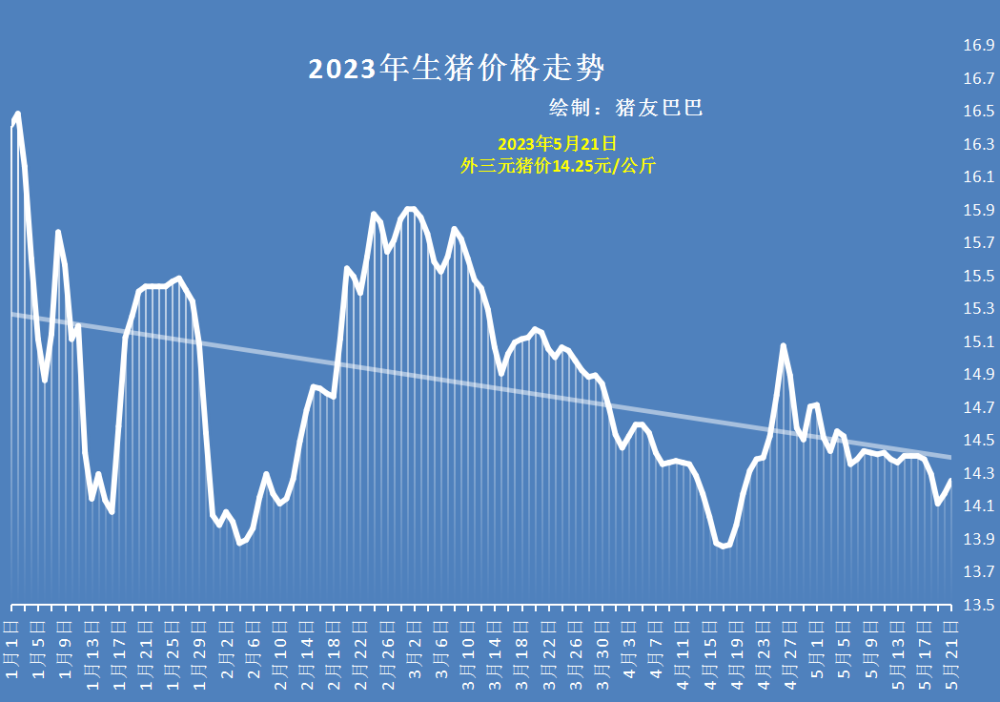 今日猪价动态及最新走势，变化中的机遇与挑战——学习与自信的交响曲探索