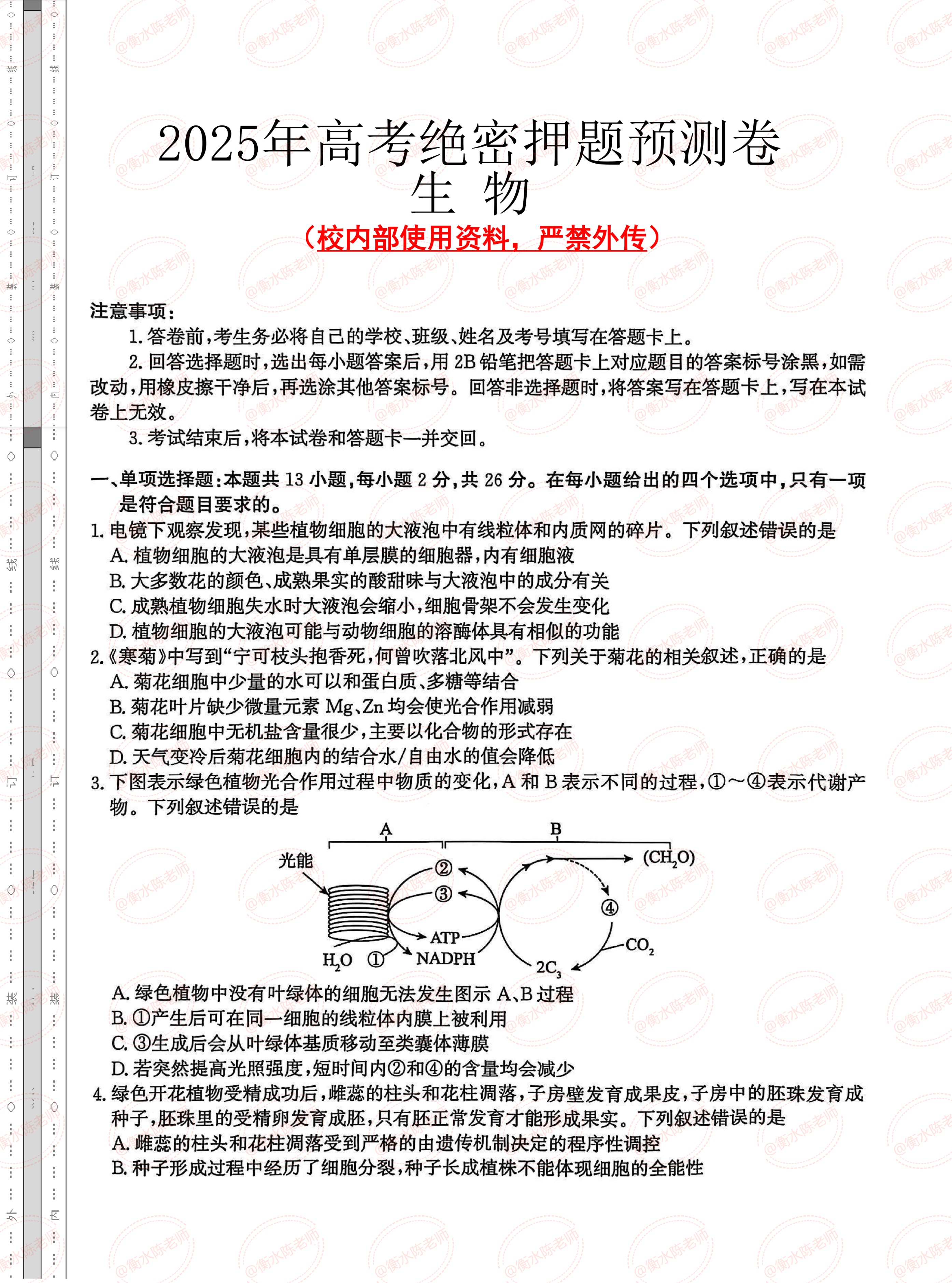 2025高考押题卷最新揭秘，乘风破浪，助力梦想启航