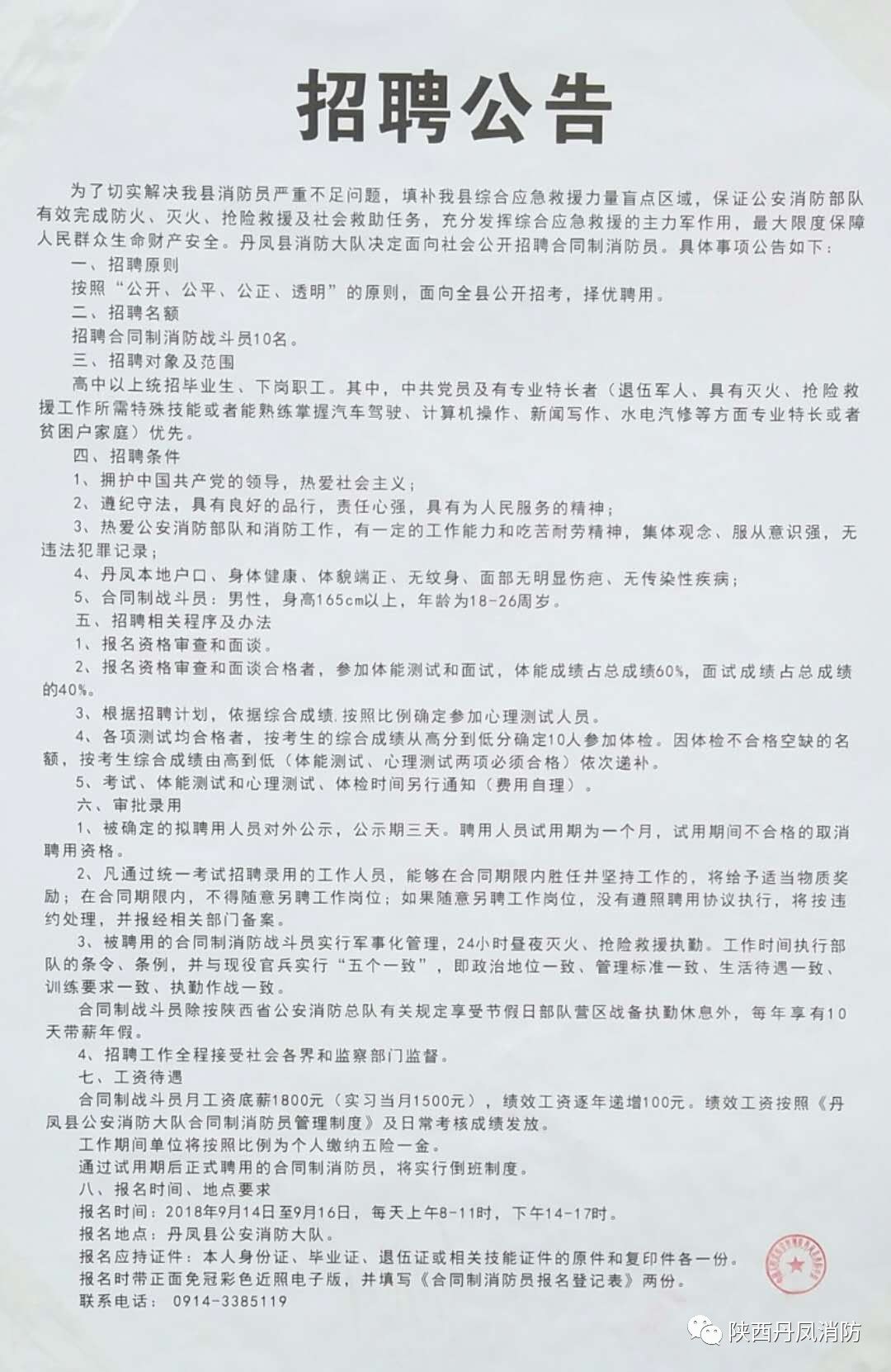 桃山区最新招聘信息，职场与友情的温馨交汇点