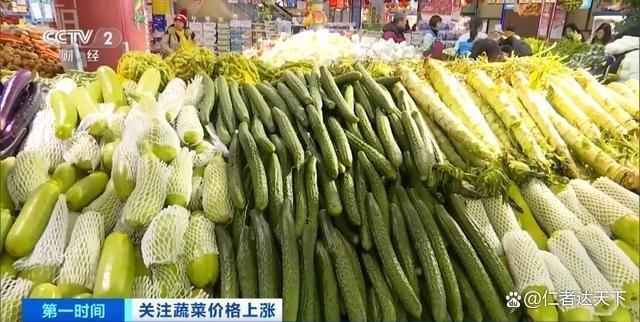 山东冬瓜最新价格行情动态更新