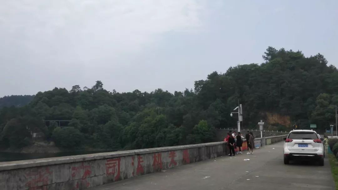 益阳鱼形山最新动态，山间的温情日常探索