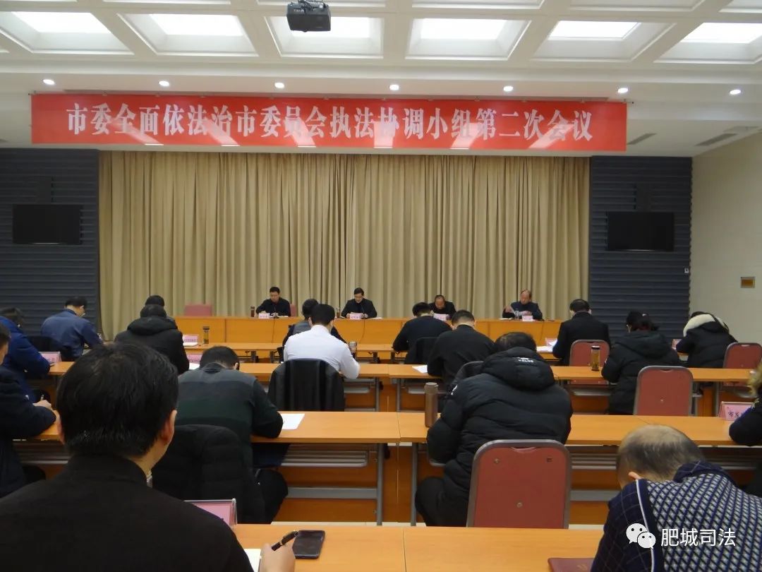 肥城市委最新分工揭秘，日常小故事背后的深层含义与影响