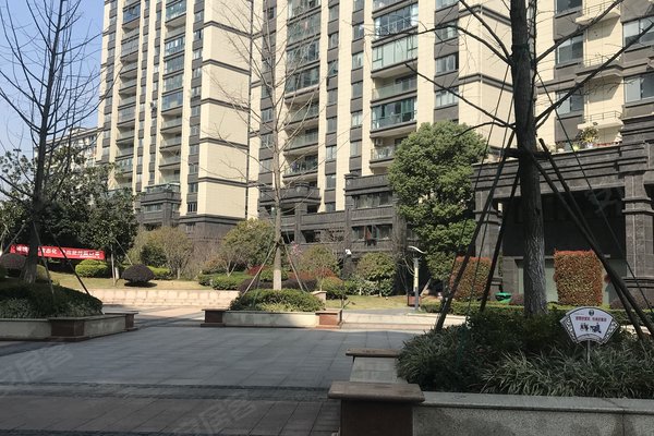 镇江福临广场最新动态揭秘，小巷深处的意外惊喜