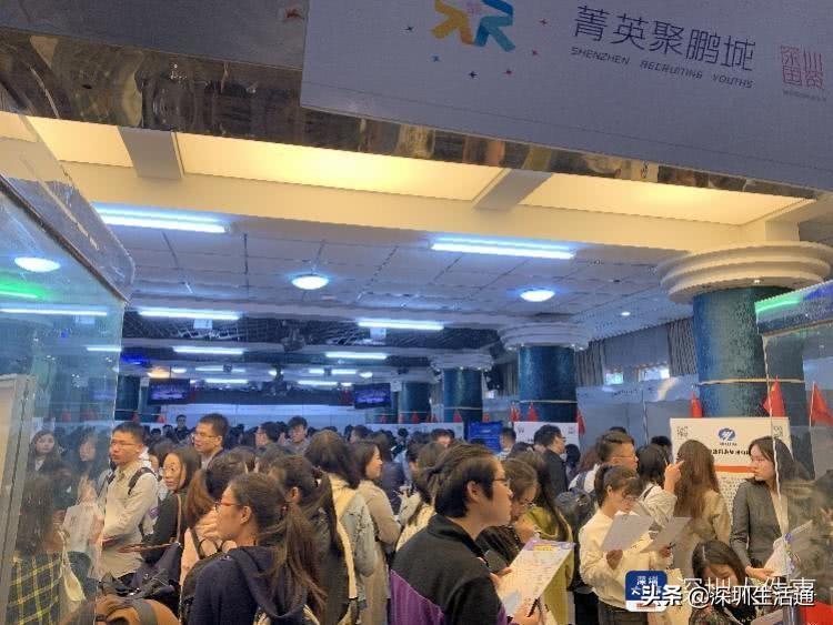 深圳盐田最新招聘信息概览，最新盐田招聘动态发布