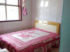 晋州房屋出租最新信息，追梦路上的安居与成长之旅