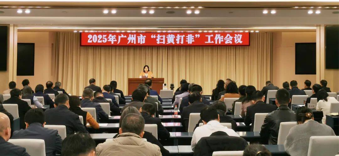 2025扫黄打非最新动态概览