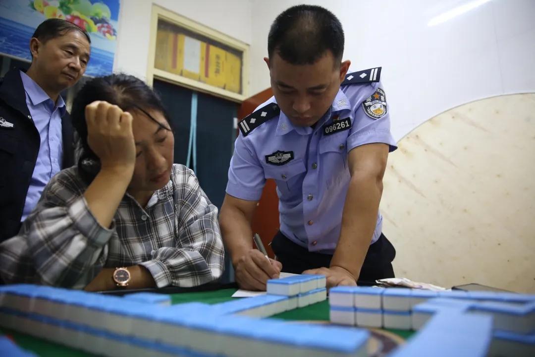 射阳租房信息网最新房源更新，寻找理想住所的便捷指南