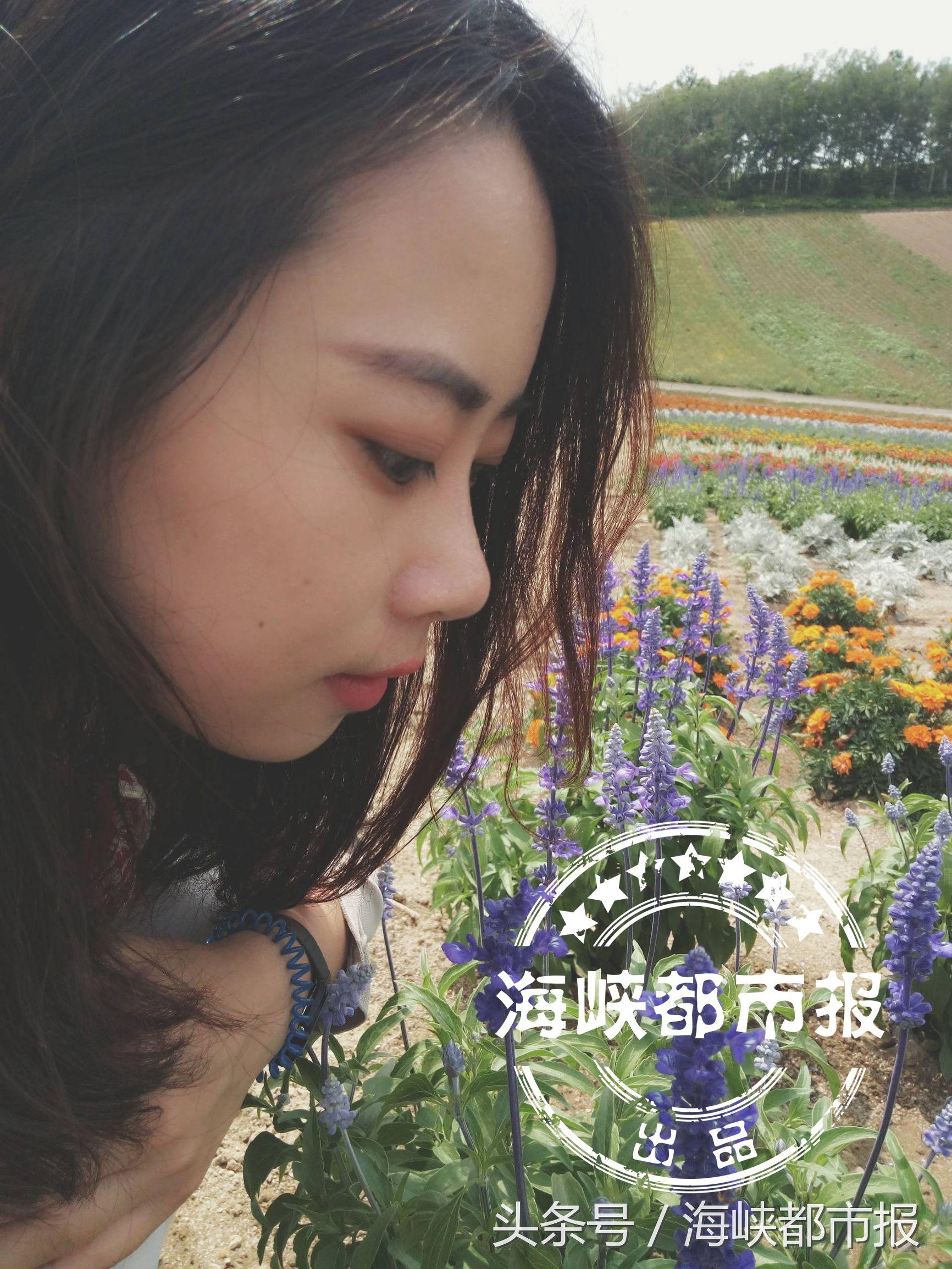 日本女教师失踪事件揭秘，探究真相与要点解析